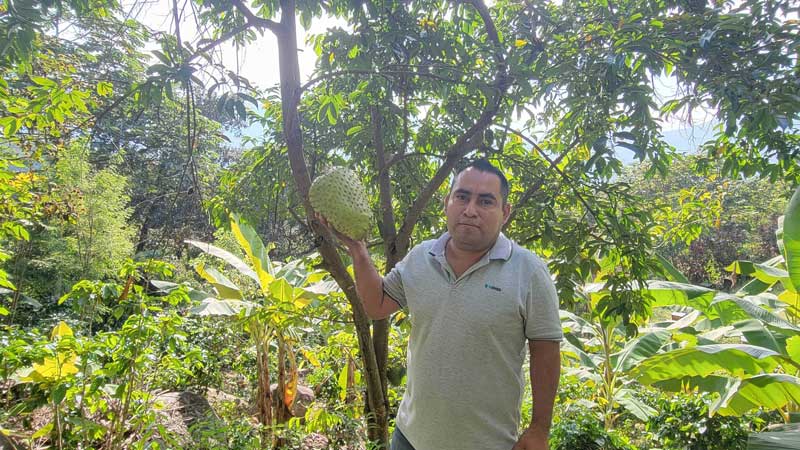 Policultivos agroforestales tradicionales en Tierra Colorada, Malinaltepec, Guerrero. 