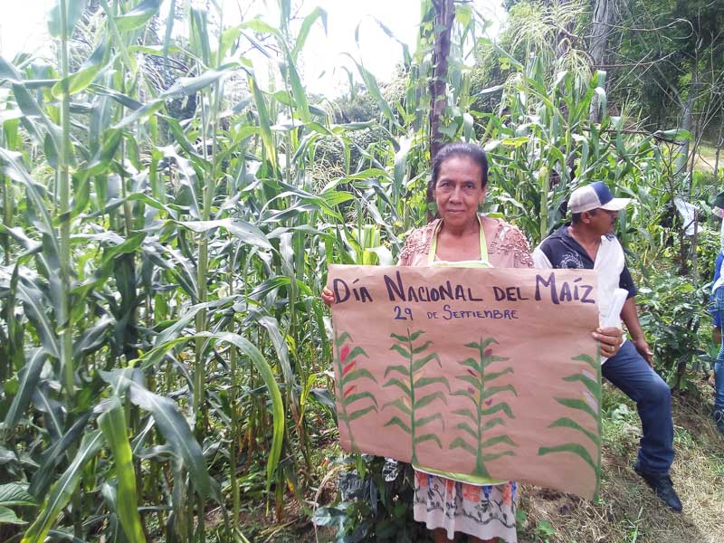 Festejos plurales en honor al maíz y la milpa en diferentes rincones del país. Coyuca de Benítez, Guerrero. Foto de Marcos Cortez.