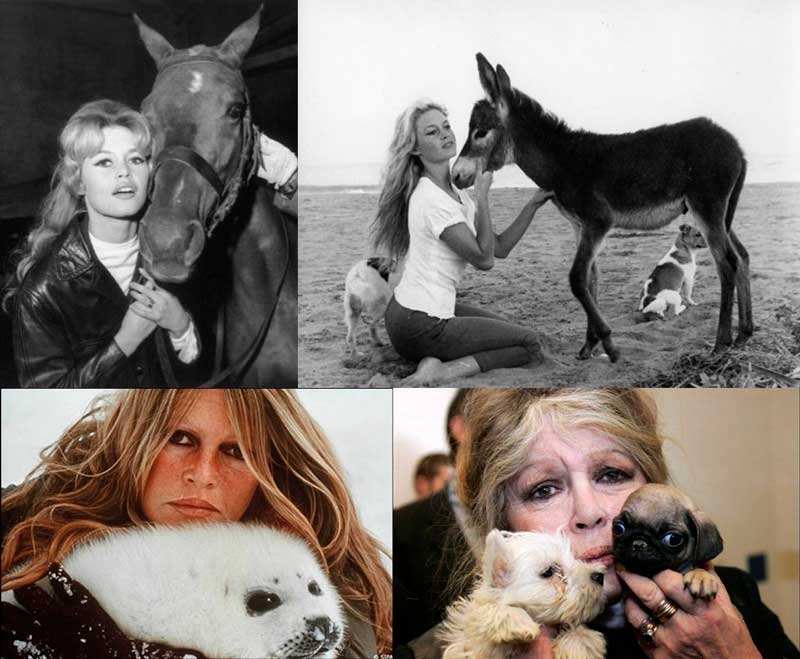 Collage de Brigitte Bardot en momentos entrañables con diferentes animales, reflejando su amor y compromiso por el bienestar animal a lo largo de los años