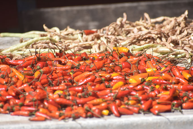 Alimentaicón