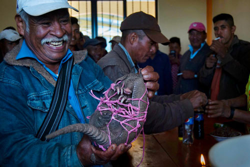 Gente ratón