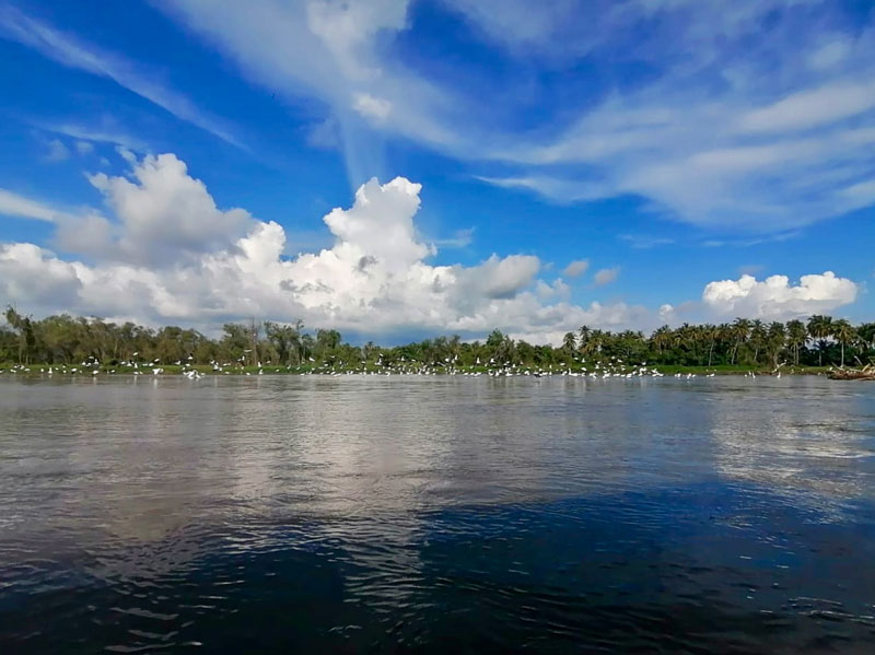 Río de Coyuca