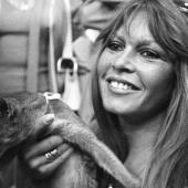 Brigitte Bardot, símbolo de belleza y sensualidad en el cine, sosteniendo uno de sus amados gatos, un reflejo de la profunda conexión que desarrollaría más tarde con la protección y defensa de los animale